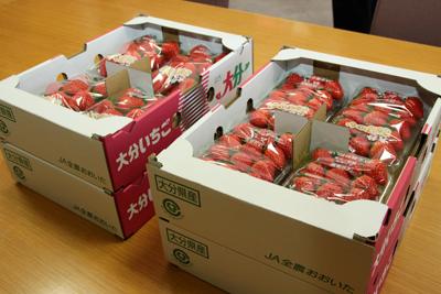 贈呈されたいちごの写真