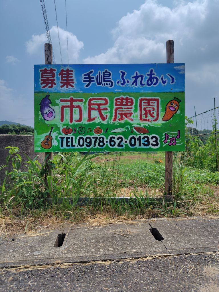 写真1