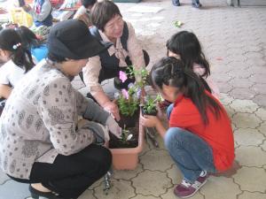 人権の花植付け3の写真