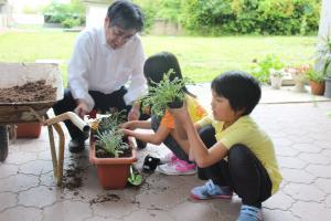 植付け作業4の写真