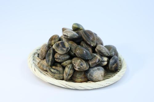 きつき城下アサリの画像