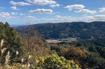 高台からの大田の風景