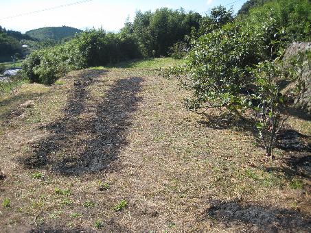 detached 杵築市大字船部