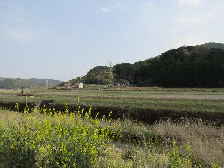 detached 杵築市山香町立石