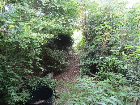 detached 杵築市大字横城