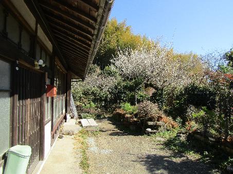 detached 杵築市杵築