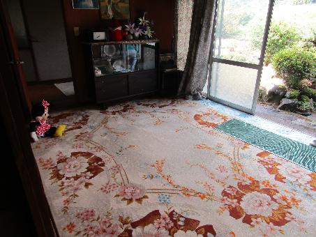 detached 杵築市大字向野