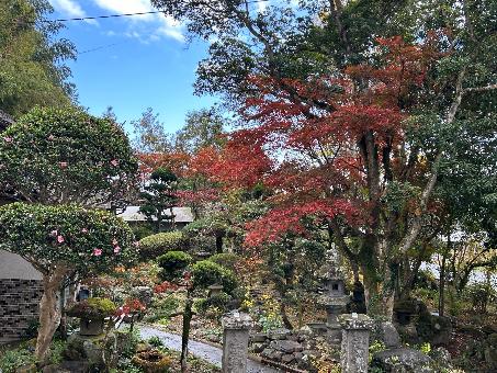 detached 杵築市山香町野原