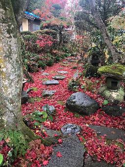 detached 杵築市山香町野原