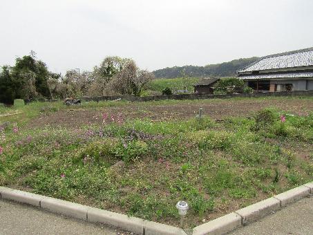 detached 杵築市大字八坂【R7年4月15日UP