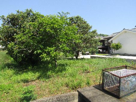 detached 杵築市大字八坂【 R6年7月1日UP