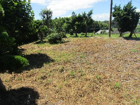 detached 杵築市大字大内【R7年8月15日UP