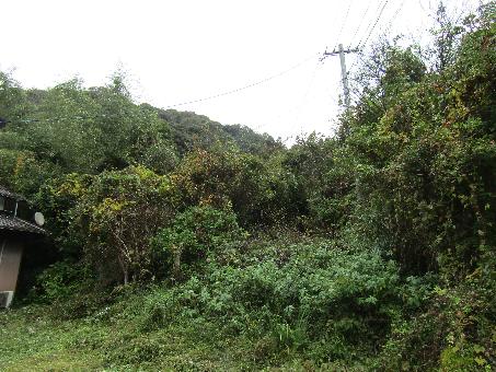 detached 杵築市山香町大字小武【R7年12月15日UP