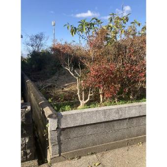 detached 杵築市南杵築【R8年1月1日UP