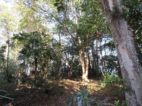 detached 杵築市大字熊野【R8年2月1日UP